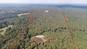 Property photo for land for sale in Nacogdoches County Texas