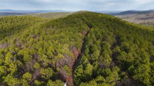 Property photo for land for sale in Latimer County Oklahoma