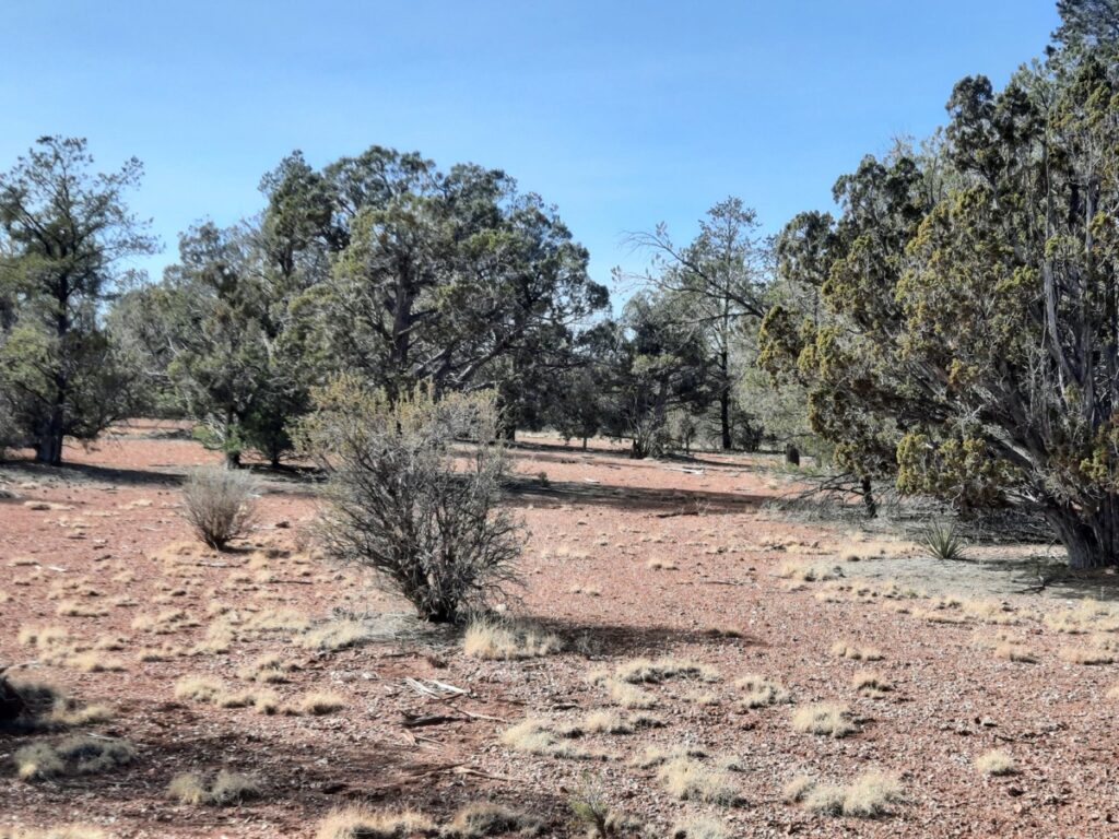 Property photo for land for sale in Yavapai County Arizona
