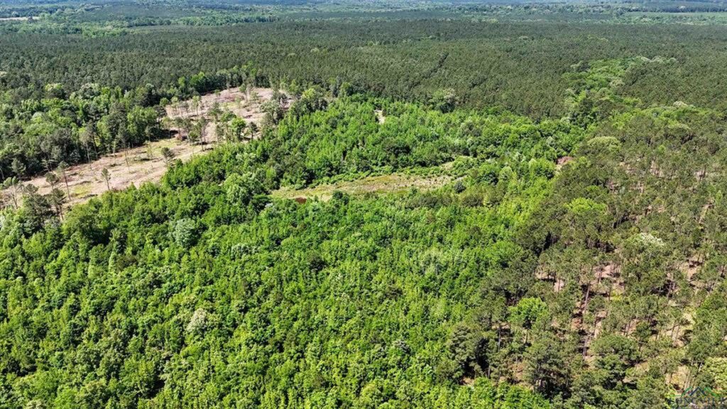 Property photo for land for sale in Marion County Texas