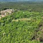 Property photo for land for sale in Marion County Texas