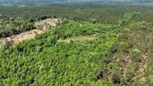 Property photo for land for sale in Marion County Texas