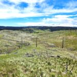 Property photo for land for sale in Stillwater County Montana
