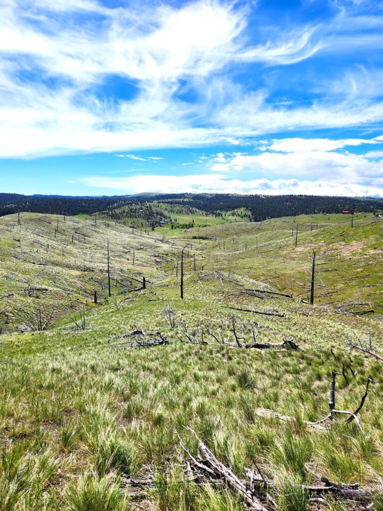 Property photo for land for sale in Stillwater County Montana