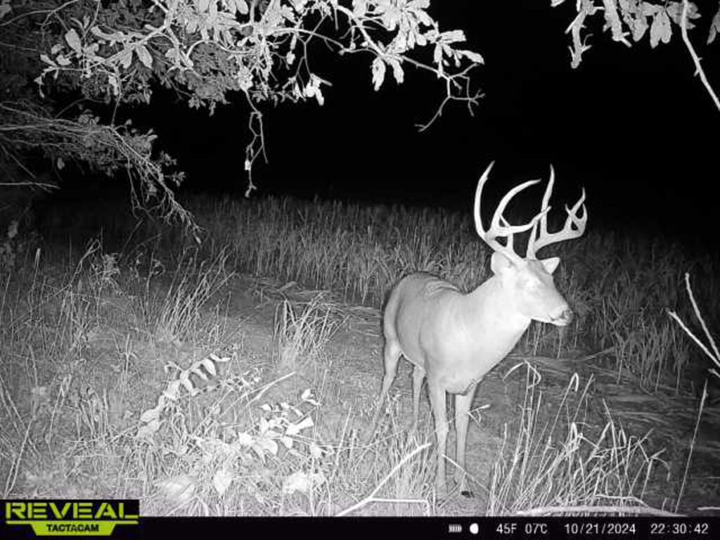 Property photo for land for sale in Woodson County Kansas