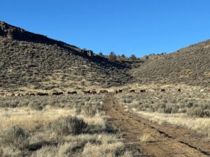 Property photo for land for sale in Harney County Oregon