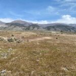 Property photo for land for sale in Pershing County Nevada