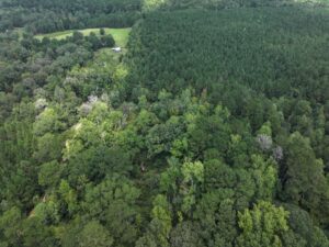 Property photo for land for sale in Lincoln County Mississippi