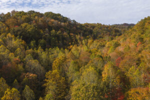 Property photo for land for sale in Lee County Virginia