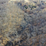 Property photo for land for sale in Schuyler County Missouri