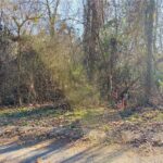 Property photo for land for sale in Boone County Arkansas