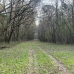 Property photo for land for sale in Elmore County Alabama