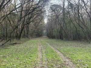 Property photo for land for sale in Elmore County Alabama