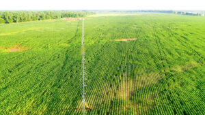 Property photo for land for sale in  County Oklahoma