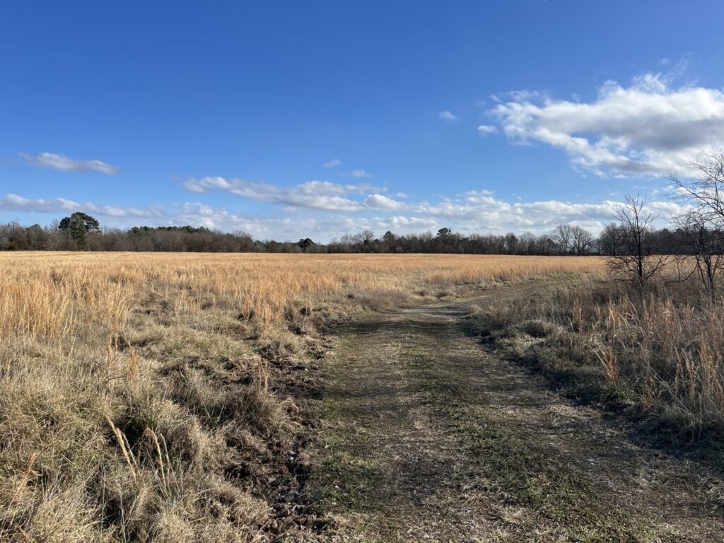 Property photo for land for sale in Delaware County Oklahoma