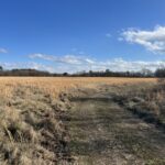 Property photo for land for sale in Delaware County Oklahoma