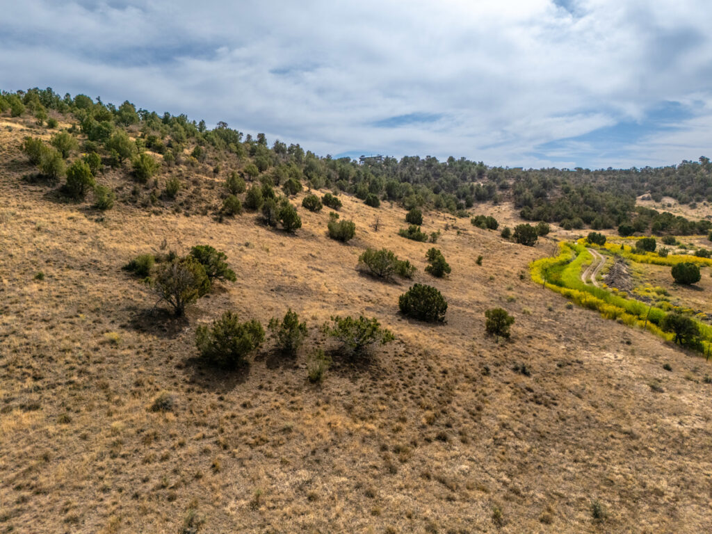 Property photo for land for sale in Montezuma County Colorado