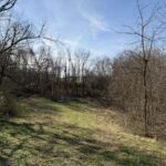 Property photo for land for sale in Clinton County Kentucky