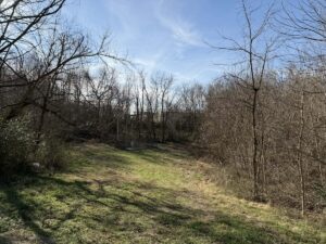 Property photo for land for sale in Clinton County Kentucky