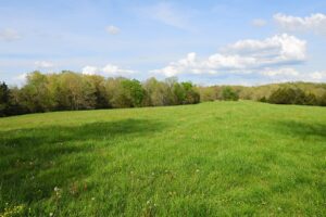 Property photo for land for sale in Metcalfe County Kentucky
