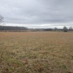 Property photo for land for sale in Lewis County Tennessee