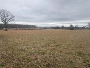 Property photo for land for sale in Lewis County Tennessee