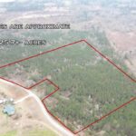 Property photo for land for sale in Smith County Mississippi