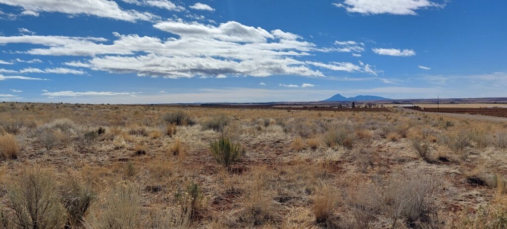 Property photo for land for sale in Dolores County Colorado
