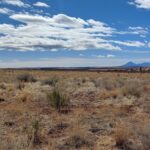 Property photo for land for sale in Dolores County Colorado