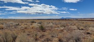 Property photo for land for sale in Dolores County Colorado