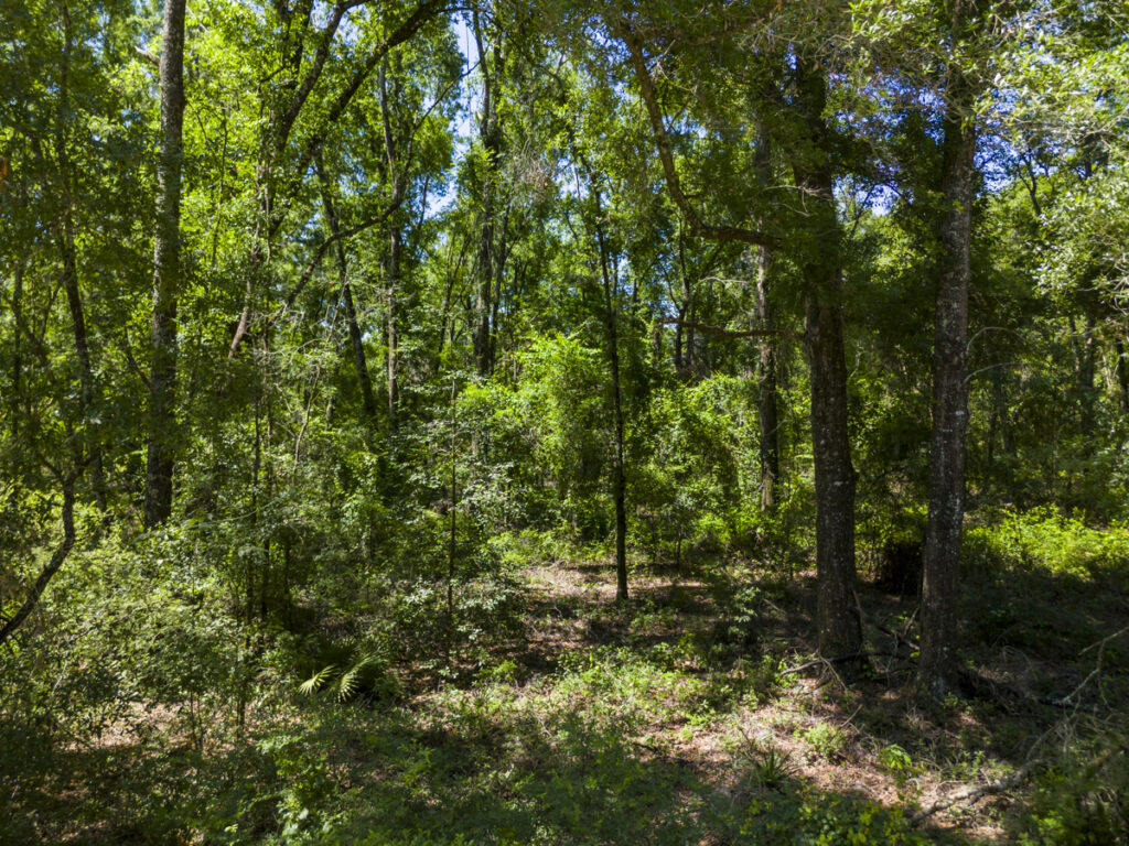 Property photo for land for sale in Suwannee County Florida