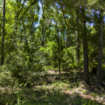 Property photo for land for sale in Suwannee County Florida