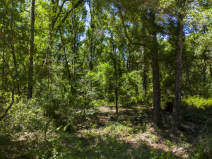 Property photo for land for sale in Suwannee County Florida