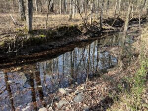 Property photo for land for sale in White County Arkansas