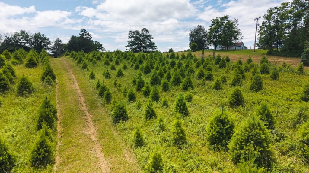 Property photo for land for sale in County Virginia