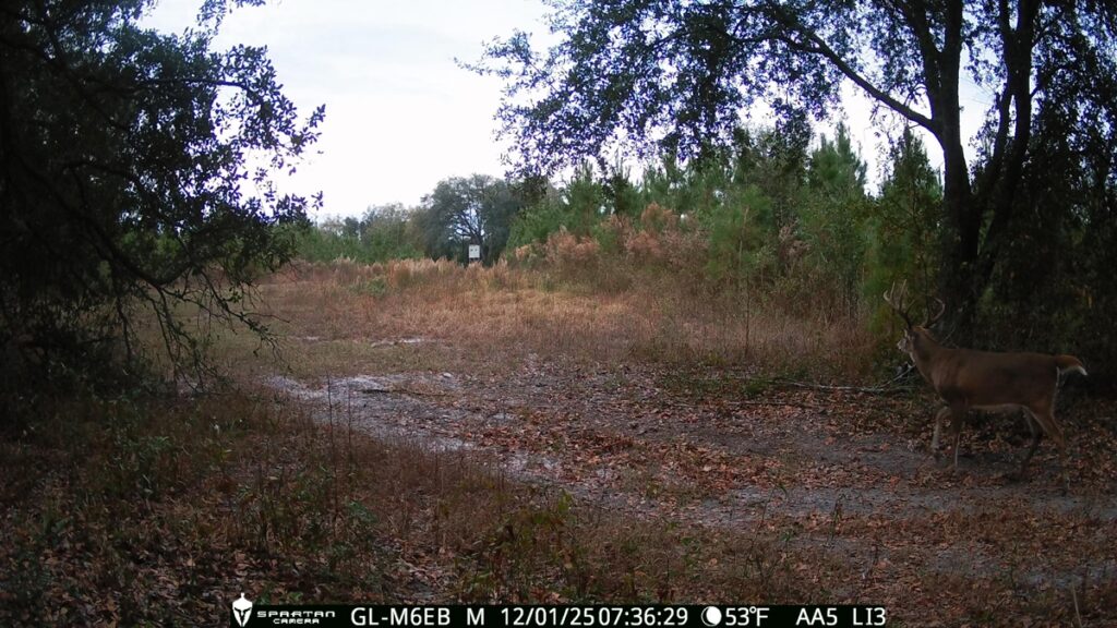 Property photo for land for sale in Decatur County Georgia