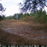 Property photo for land for sale in Decatur County Georgia