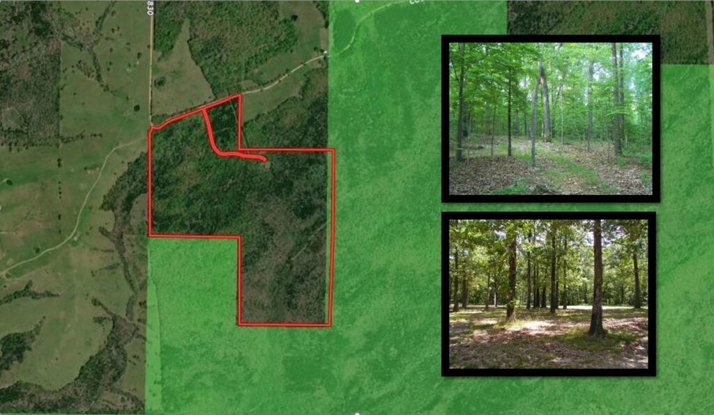 Property photo for land for sale in Ozark County Missouri