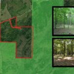 Property photo for land for sale in Ozark County Missouri