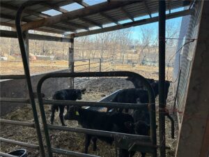 Property photo for land for sale in Gentry County Missouri