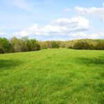 Property photo for land for sale in Metcalfe County Kentucky