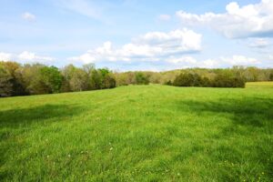 Property photo for land for sale in Metcalfe County Kentucky