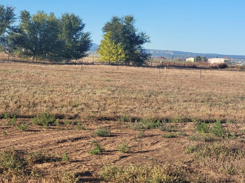 Property photo for land for sale in Torrance County New Mexico