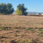 Property photo for land for sale in Torrance County New Mexico