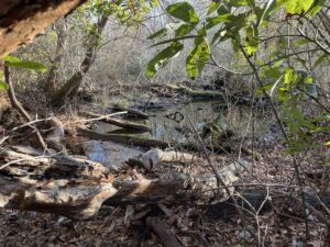 Property photo for land for sale in Jones County North Carolina