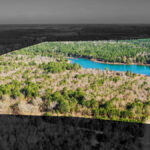 Property photo for land for sale in Marion County Texas