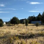 Property photo for land for sale in Modoc County California