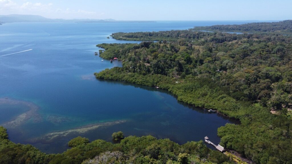 Property photo for land for sale in County Panama