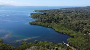 Property photo for land for sale in  County Panama