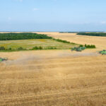 Property photo for land for sale in Red River County Texas